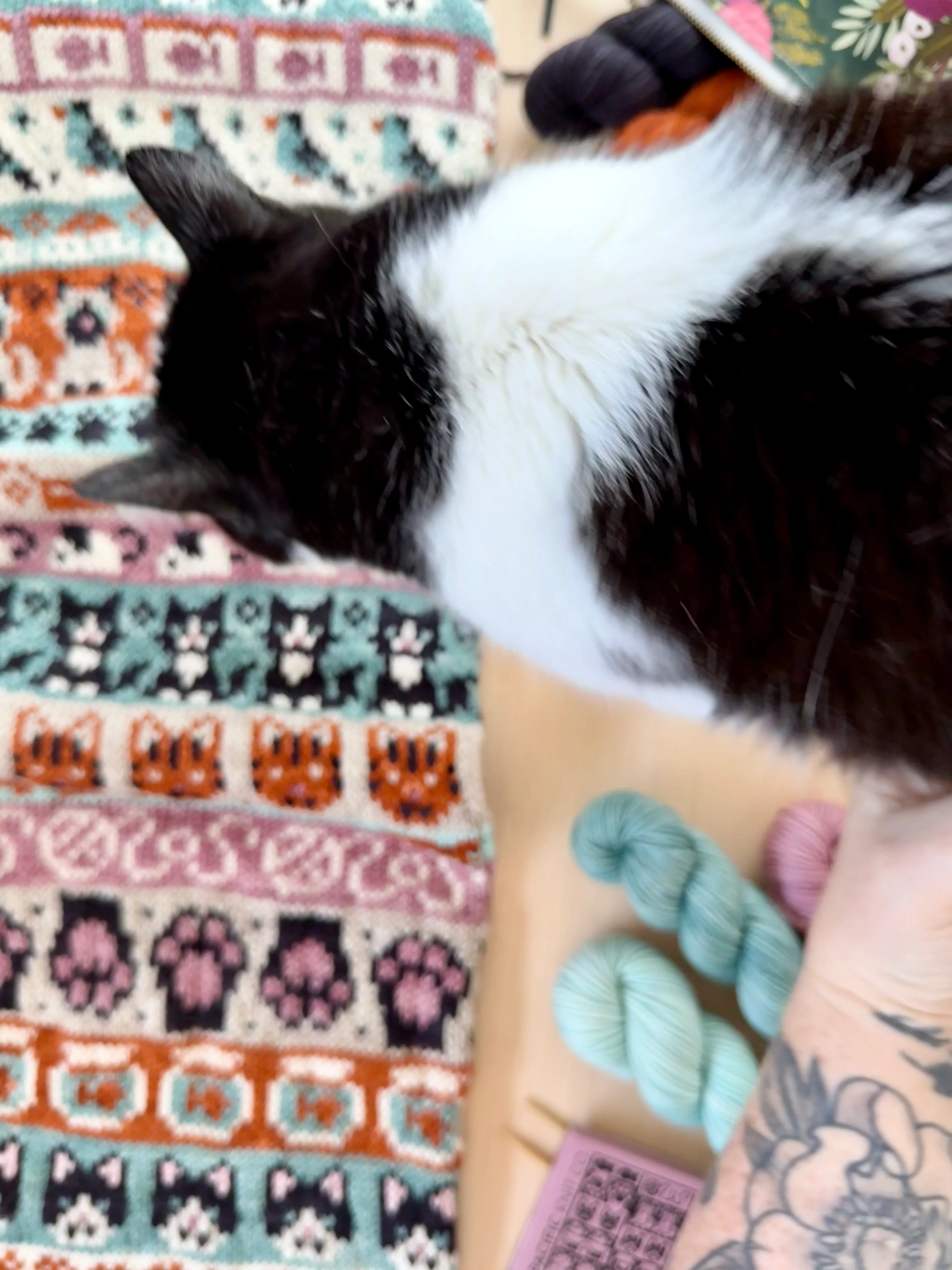Cat Doodle (Infinity Cowl) - Image 4