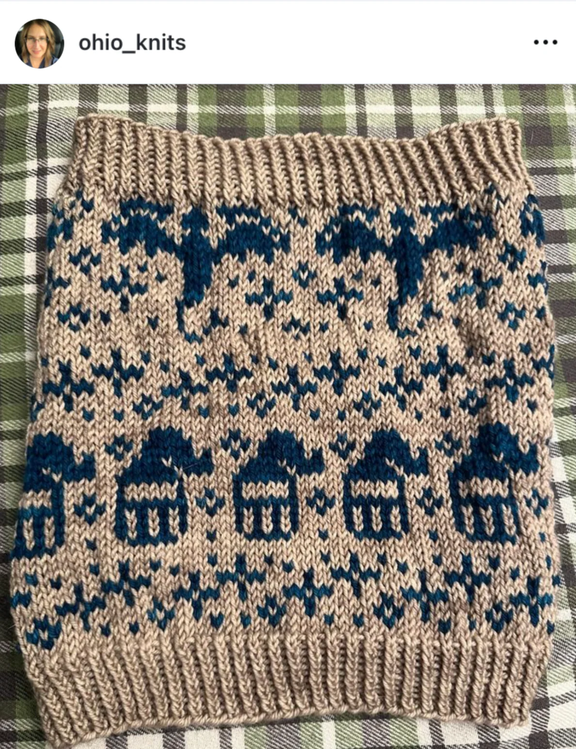 Fantasy Doodle (Standard Cowl) - Image 6