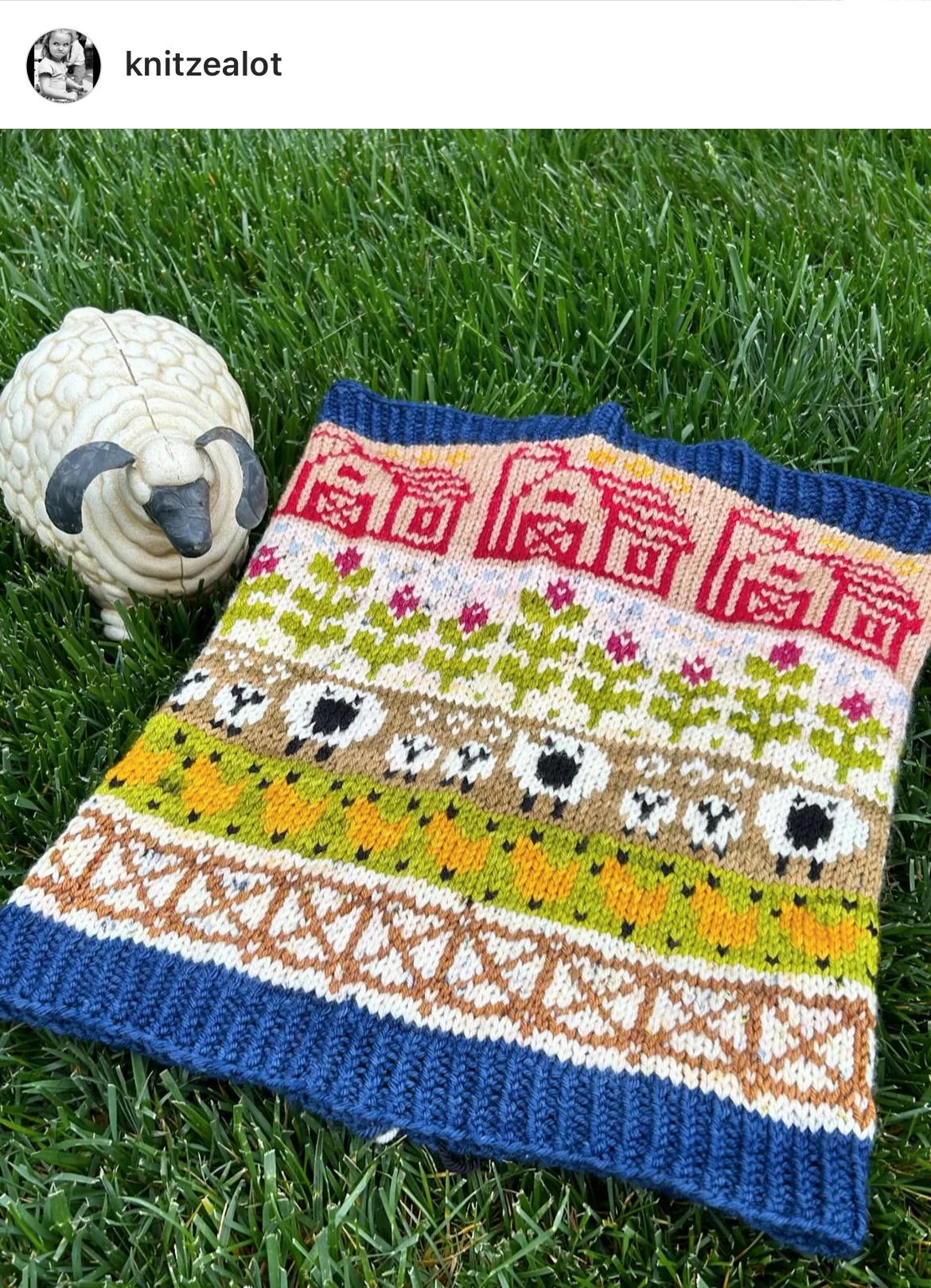 Farm Doodle (Standard Cowl) - Image 11