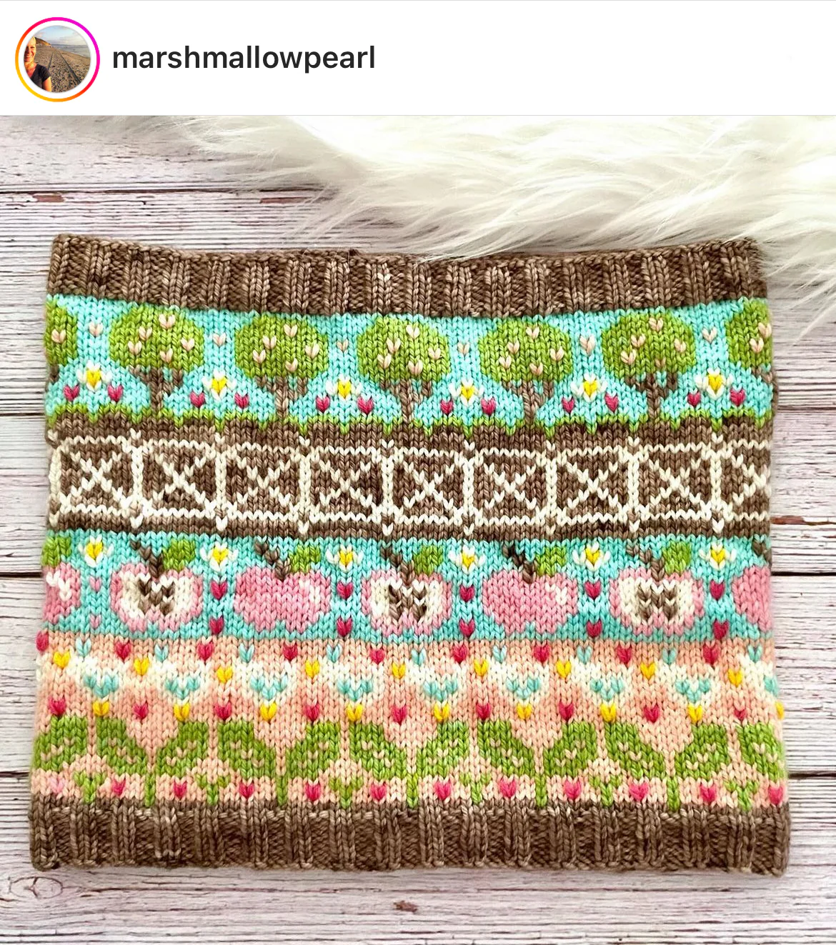 Farm Doodle (Standard Cowl) - Image 4