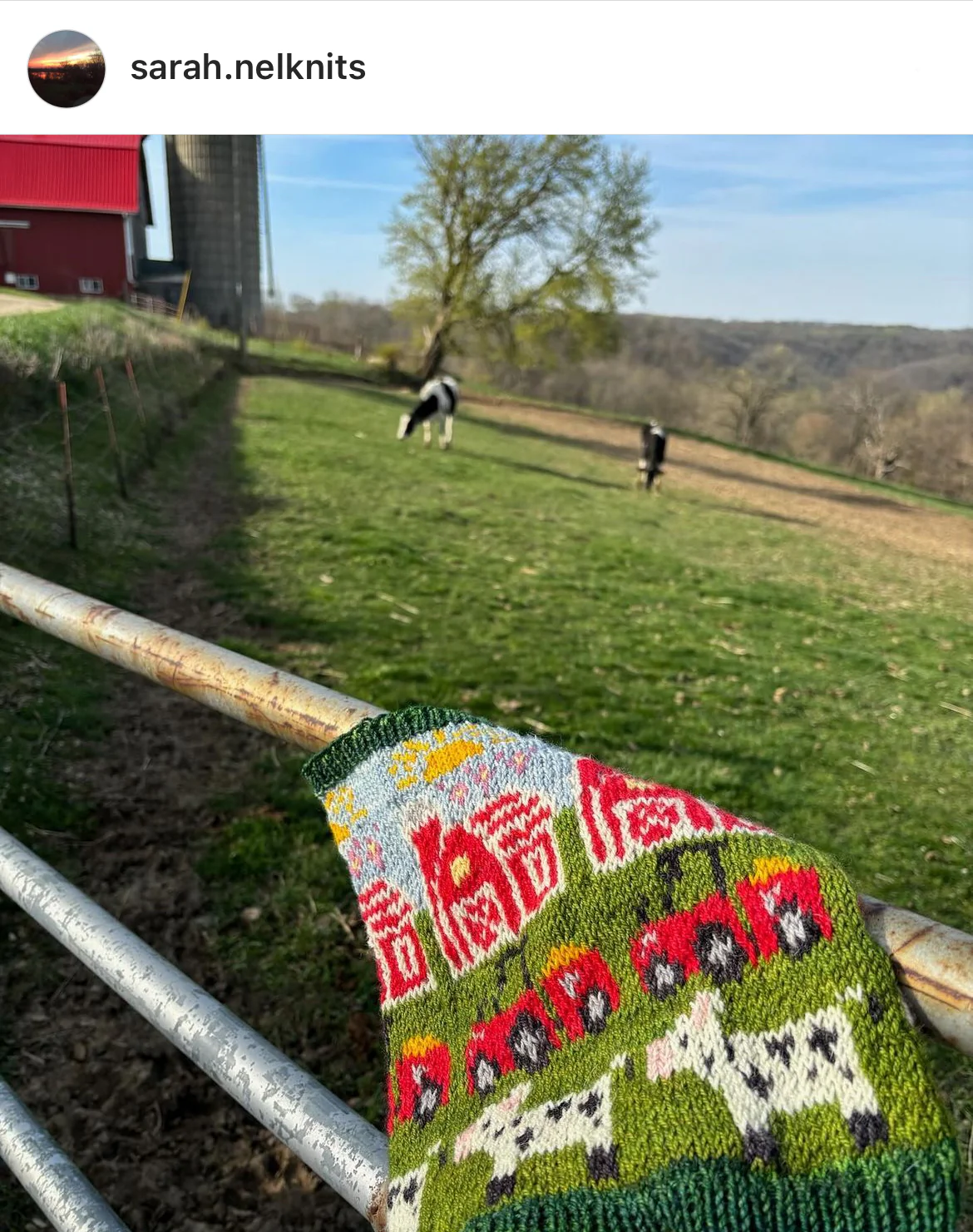 Farm Doodle (Standard Cowl) - Image 6